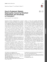 How Is Proteinuric Diabetic Nephropathy Caused by Disturbed Proteostasis and Autophagy in Podocytes?
