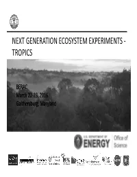Next Generation Ecosystem Experiments ‐ Tropics