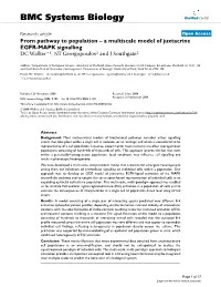 From Pathway to Population–A Multiscale Model of Juxtacrine