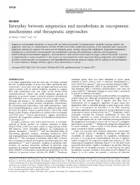 Interplay Between Epigenetics and Metabolism in Oncogenesis: Mechanisms and Therapeutic Approaches