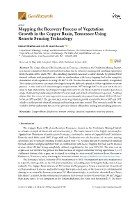 Mapping the Recovery Process of Vegetation Growth in the Copper Basin, Tennessee Using Remote Sensing Technology