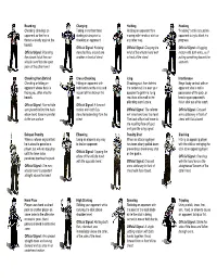 Penalties & Signals