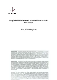 Polyphenol Metabolism: from in Vitro to in Vivo Approaches