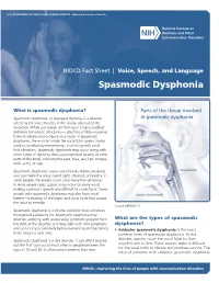 Spasmodic Dysphonia