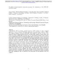Elucidation of Protein-Protein Interactions Necessary for Maintenance of the BCR-ABL Signaling Complex