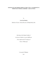THE ROLE of the HERPES SIMPLEX VIRUS TYPE 1 UL28 PROTEIN in TERMINASE COMPLEX ASSEMBLY and FUNCTION by Jason Don Heming Bachelor