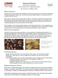 Nosema Disease Information for Identification & Control in New York