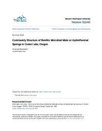 Community Structure of Benthic Microbial Mats at Hydrothermal Springs in Crater Lake, Oregon