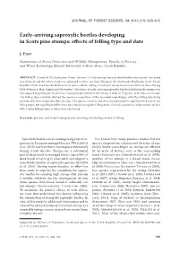 Early-Arriving Saproxylic Beetles Developing in Scots Pine Stumps: Effects of Felling Type and Date