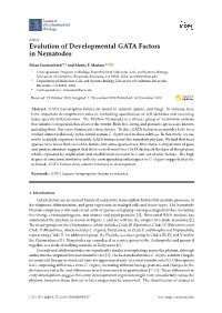 Evolution of Developmental GATA Factors in Nematodes
