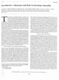 Involucrin - Structure and Role in Envelope Assembly