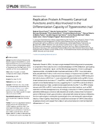 Replication Protein a Presents Canonical Functions and Is Also Involved in the Differentiation Capacity of Trypanosoma Cruzi