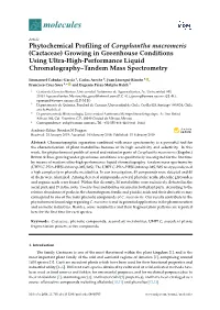 Phytochemical Profiling of Coryphantha Macromeris