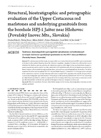 Structural, Biostratigraphic and Petrographic Evaluation of The