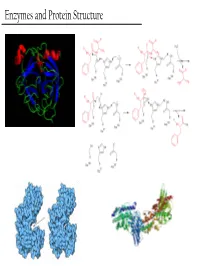 Enzymes and Protein Structure Last Week… PTM’S We (Re)Learned About