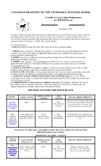 Guide to Coat Colour Registration of CRTWH Horses