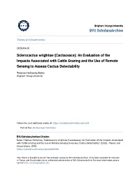 Sclerocactus Wrightiae (Cactaceace): an Evaluation of the Impacts Associated with Cattle Grazing and the Use of Remote Sensing to Assess Cactus Detectability
