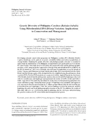 Genetic Diversity of Philippine Carabao (Bubalus Bubalis) Using Mitochondrial DNA D-Loop Variation: Implications to Conservation and Management