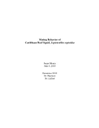 Morris, Jamie (2010) Mating Behavior of Caribbean Reef Squid