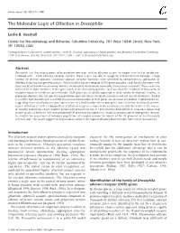 The Molecular Logic of Olfaction in Drosophila