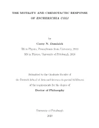 The Motility and Chemotactic Response of Escherichia Coli