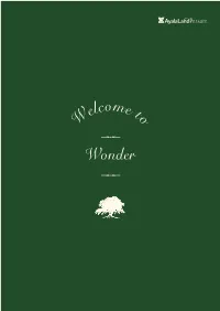 Wonder Block 4 & 5 (Phase 3) Every Place Tells a Story