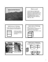 Advanced Soil Genesis What Is a Soil? Useful Terms in Pedology