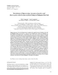 Inoculation of Dipterocarps Anisoptera Thurifera and Shorea Guiso with Ectomycorrhizal Fungi in Philippine Red Soil