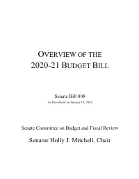 Overview of the 2020-21 Budget Bill