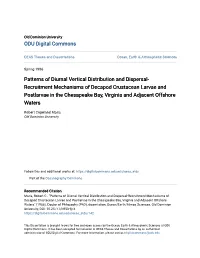 Patterns of Diurnal Vertical Distribution and Dispersal