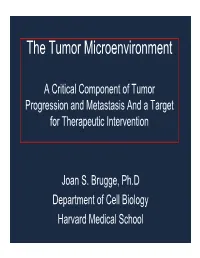 The Tumor Microenvironment