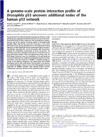 A Genome-Scale Protein Interaction Profile of Drosophila P53 Uncovers Additional Nodes of the Human P53 Network