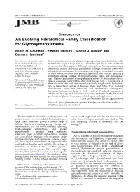 An Evolving Hierarchical Family Classification for Glycosyltransferases