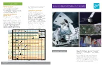 BALL CONFIGURABLE PLATFORM the Combined BCP Series Has Flown for Under Fixed-Price Or Cost-Reimbursable More Than an Equivalent of 85 Years — Contract Types