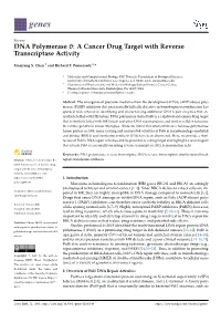 DNA Polymerase Θ: a Cancer Drug Target with Reverse Transcriptase Activity