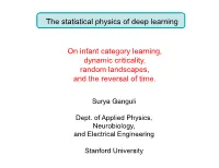 The Statistical Physics of Deep Learning on Infant Category Learning