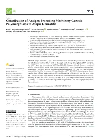 Contribution of Antigen-Processing Machinery Genetic Polymorphisms to Atopic Dermatitis