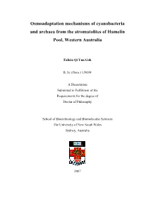 Osmoadaptation Mechanisms of Cyanobacteria and Archaea from the Stromatolites of Hamelin Pool, Western Australia