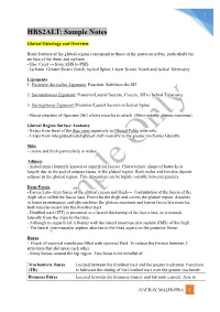 Sample Notes