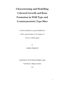 Characterising and Modelling Calvarial Growth and Bone Formation in Wild Type And