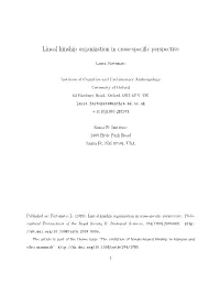 Lineal Kinship Organization in Cross-Specific Perspective