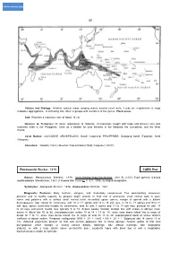 CAES Pter Pterocaesio Bleeker, 1876 50