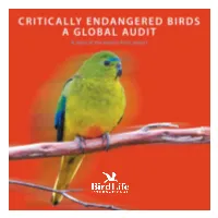 Critically Endangered Birds: a Global Audit