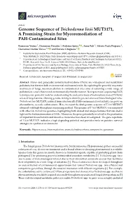 Genome Sequence of Trichoderma Lixii MUT3171, a Promising Strain for Mycoremediation of PAH-Contaminated Sites