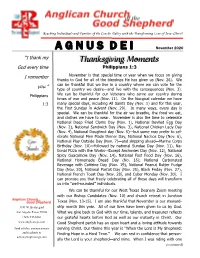 November 2020 Agnus