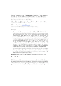Sero-Prevalence of Contagious Caprine Pleuropneu- Monia in Goat at Selected Woredas of Afar Region