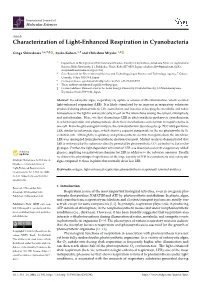 Characterization of Light-Enhanced Respiration in Cyanobacteria