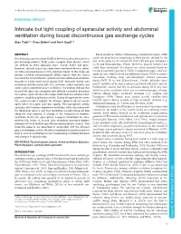 Intricate but Tight Coupling of Spiracular Activity and Abdominal Ventilation During Locust Discontinuous Gas Exchange Cycles