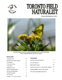 Regulars Features