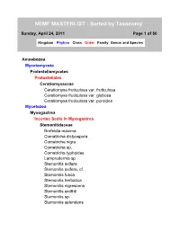 NEMF MASTERLIST - Sorted by Taxonomy